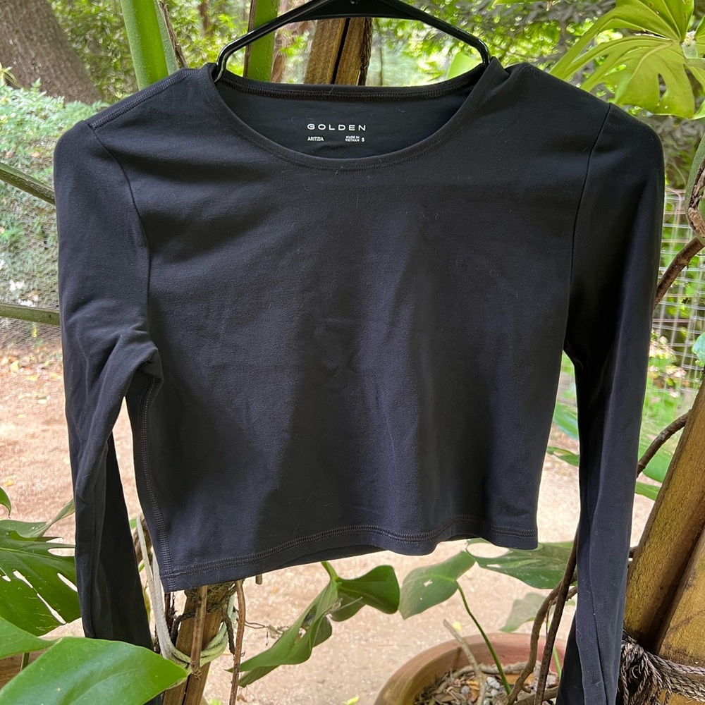 Aritzia Golden long sleeve crop top